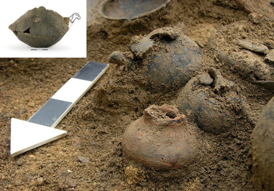 Kilka naczyń ceramicznych odsłoniętych w ziemi na stanowisku archeologicznym.