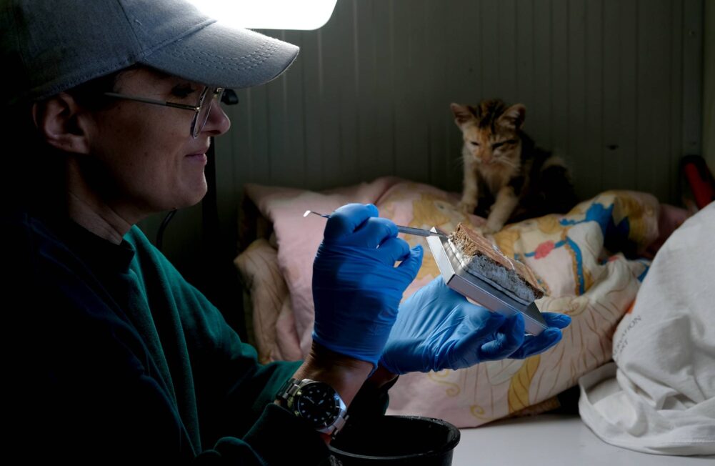 Dr Anna Tomkowska w trakcie konserwacji malowidła z przedstawieniem twarzy mężczyzny (fot. Piotr Jaworski)