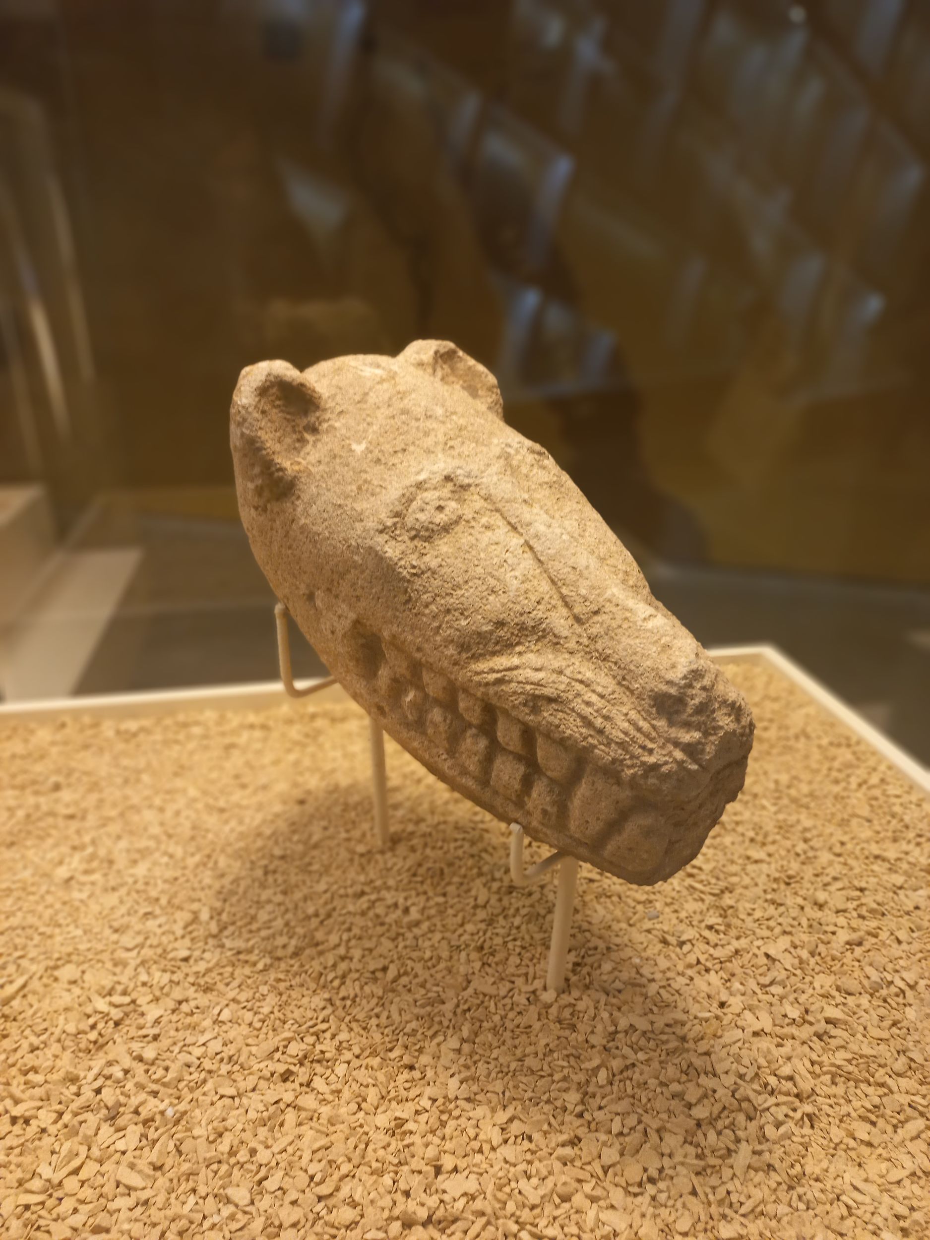 Rzeźba głowy lamparta z Göbekli Tepe, Muzeum Archeologiczne w Şanlıurfie