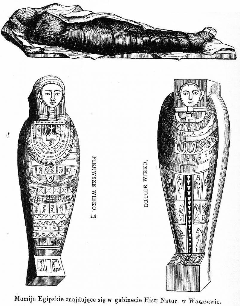 Najstarsze przedstawienie mumii Tajemniczej Damy (Przyjaciel dziecka z 1862 (II p. 379).