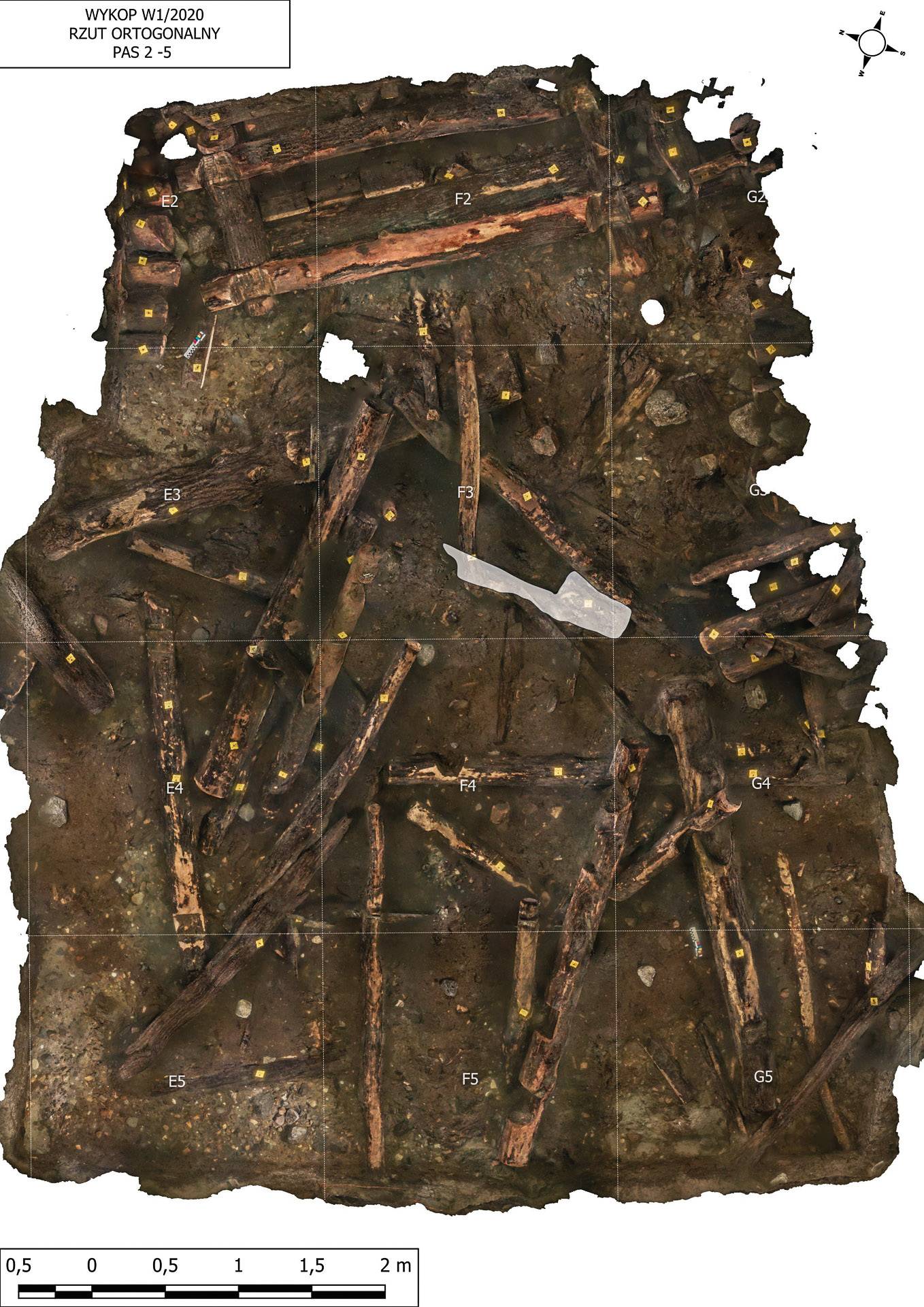 Stanowisko archeologiczne pod wodą – dokumentacja ortofotograficzna odsłoniętej konstrukcji wału, z której pochodzi belka z rzeźbą (fot. archiwum Centrum Archeologii Podwodnej UMK w Toruniu)