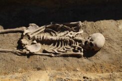 Badania w Tyńcu nad Ślęzą stanowią ważny punkt odniesienia dla archeologii schyłku antyku w Polsce