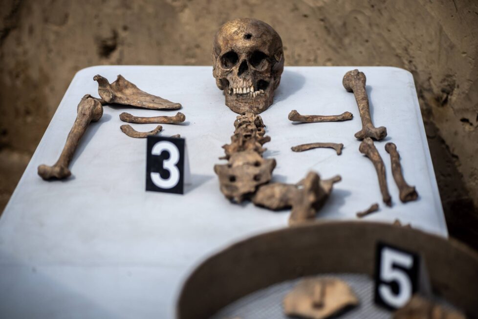 Niespalone szczątki ludzkie z widocznym otworem wylotowym na kości czołowej ofiary – szczątki pominięte w trakcie przeprowadzania Aktion 1005 (fot. D. Frymark, zbiory IPN).