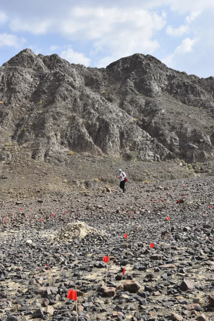 Pole szlaki w Wadi Salh; chorągiewkami zaznaczone są narzędzia kamienne do rozkruszania rudy (Fot. CAŚ UW/ Agnieszka Szymczak)