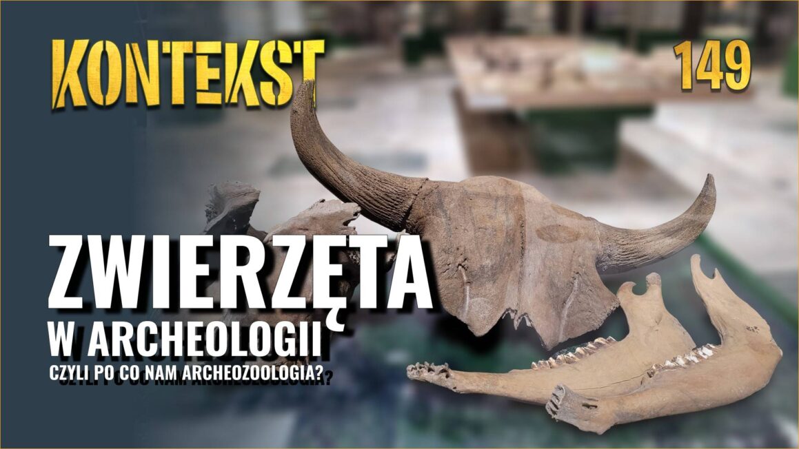 Archeozoologia Webinar