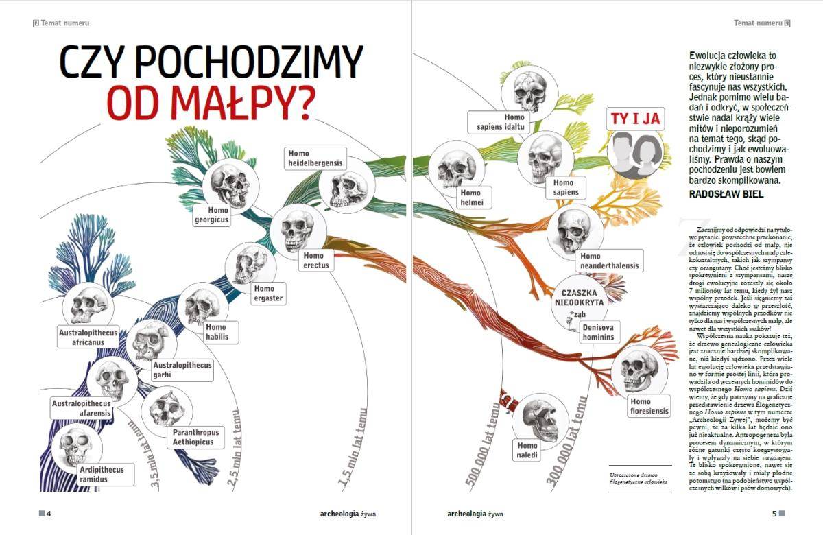 pochodzenie człowieka artykuł