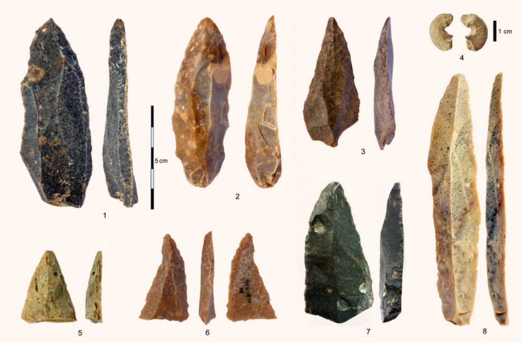 Neandertalczycy w naszym DNA: nowe odkrycia genetyczne