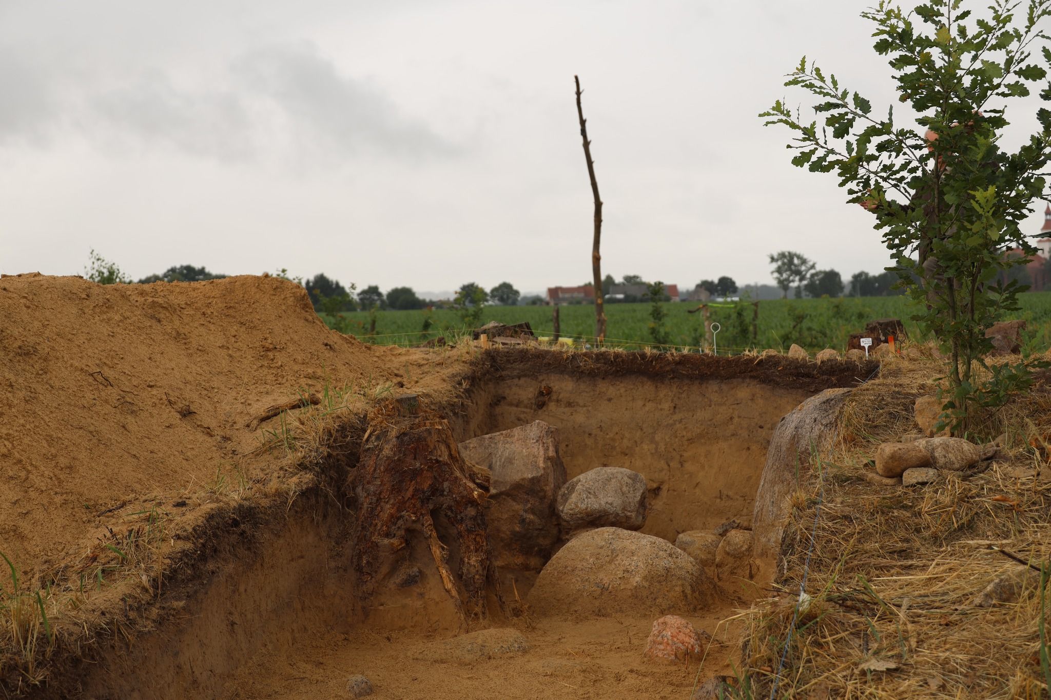 Badania wykopaliskowe prowadził zespół badawczy z Wydziału Archeologii UAM
