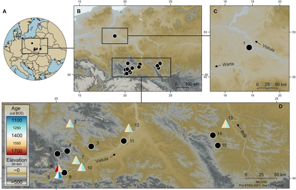 Mapa stanowisk archeologicznych z epoki brązu na terenie Polski, ze szczegółowym przedstawieniem Małopolski, ziemi świętokrzyskiej, Lubelszczyzny i Kujaw. Kolorowe trójkąty wskazują stanowiska ze śladami spożywania prosa, a czarne punkty miejsca, w których takich śladów nie wykryto