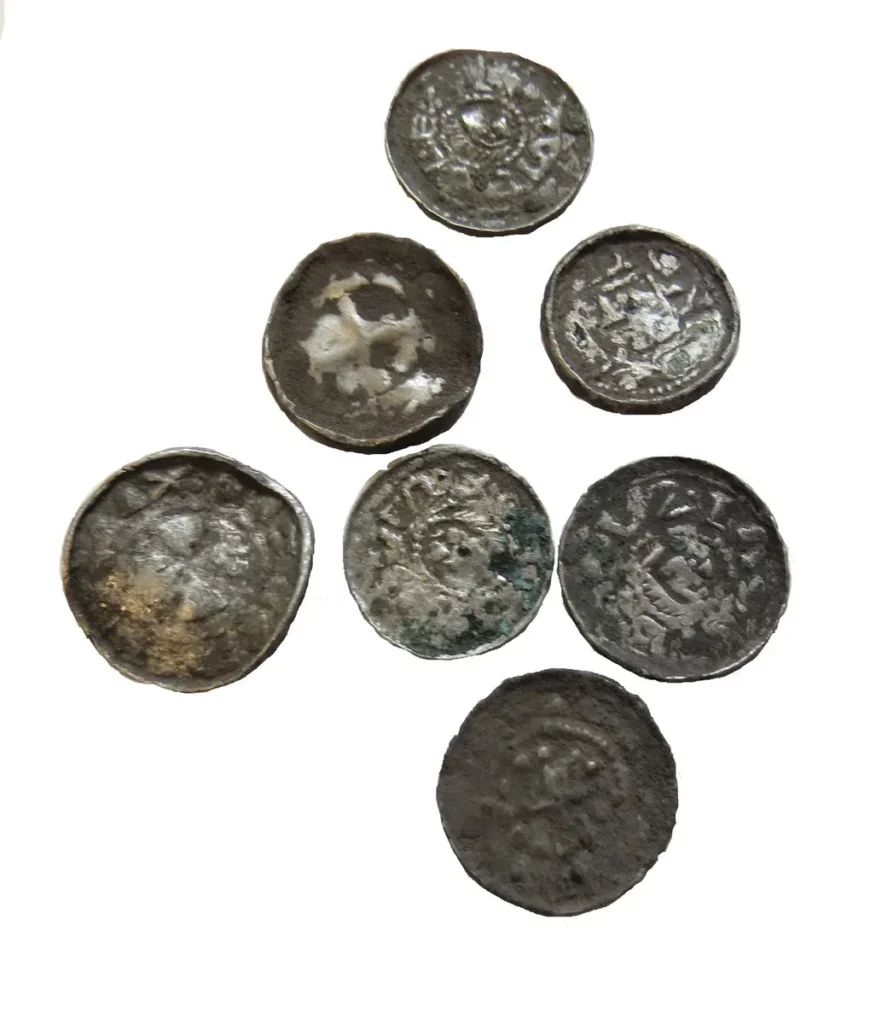 Monety wczesnośredniowieczne z Daromina (fot. M. Florek)