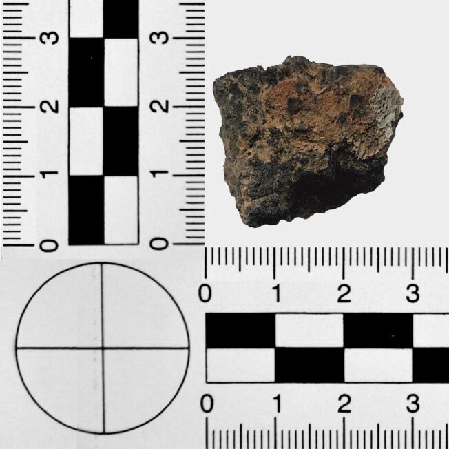 Spalone drewno sosny zwyczajnej wraz z zachowanym fragmentem kości ludzkiej – materialny dowód zbrodni z drugiej połowy stycznia 1945 roku w Dolinie Śmierci (fot. J. Rennwanz).
