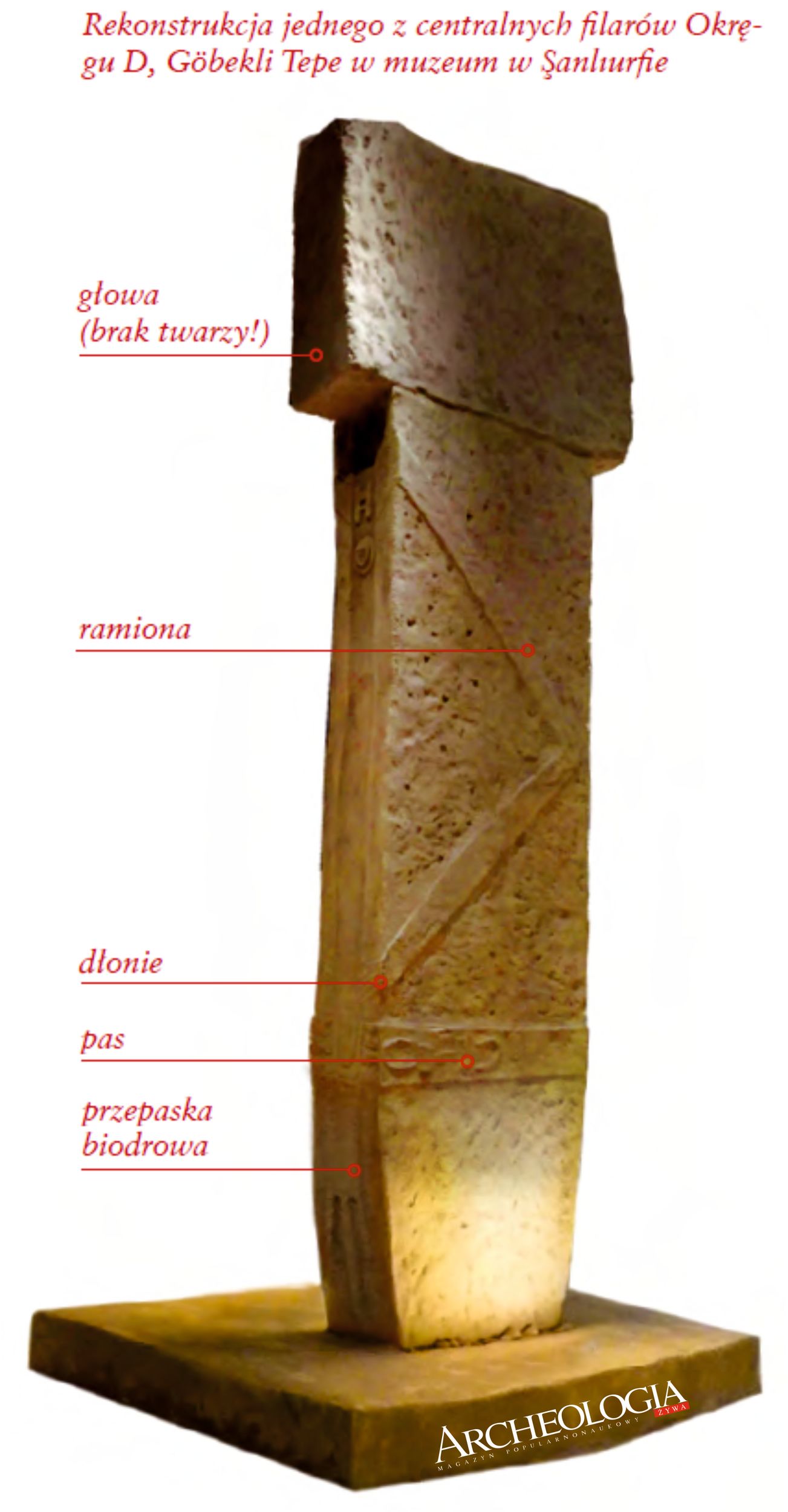 Rekonstrukcja jednego z centralnych filarów Okręgu D, Göbekli Tepe w muzeum w Şanlıurfie