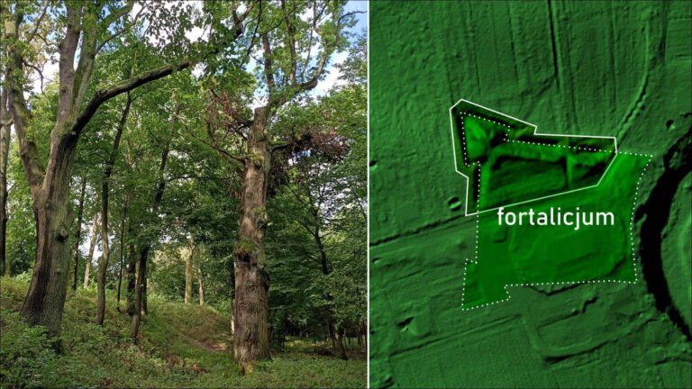 Porównanie zdjęcia zalesionych wałów ziemnych z obrazem LiDAR pokazującym geometryczny plan bastionowego założenia w Świerżach.