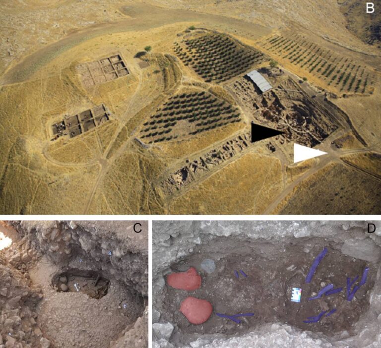 Göbekli Tepe z zaznaczonymi miejscami dwóch pochówków oraz grób zbiorowy ze skupieniem czaszek i kości długich.
