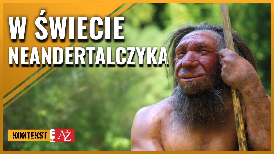 Homo Neanderthalensis