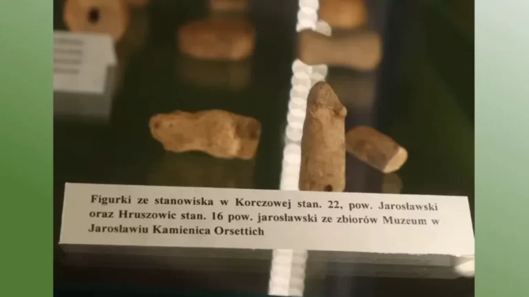 Wcześniejsze badania archeologiczne w Hruszowicach miały miejsce jeszcze przed budową autostrady A4 (fot. W. Rajpold)