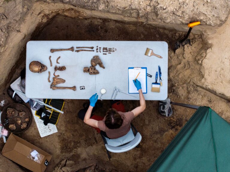 W wyniku badań archeologicznych, zakończonych 15 czerwca 2025 roku, odkryto 23 szkielety