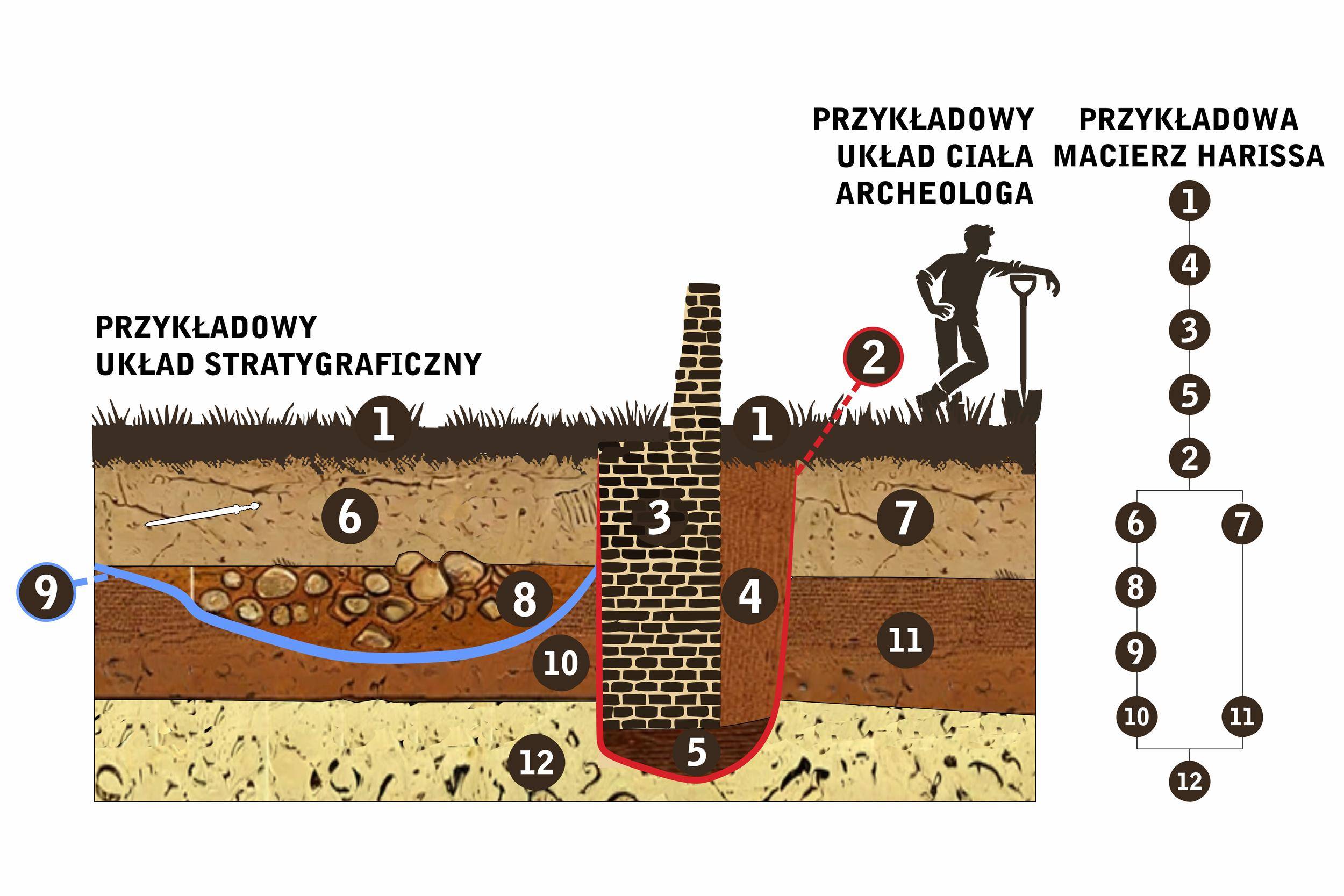 Stratygrafia jest niezwykle istotną metodą datowania względnego, wykorzystywaną w archeologii (oprac. R. Biel)