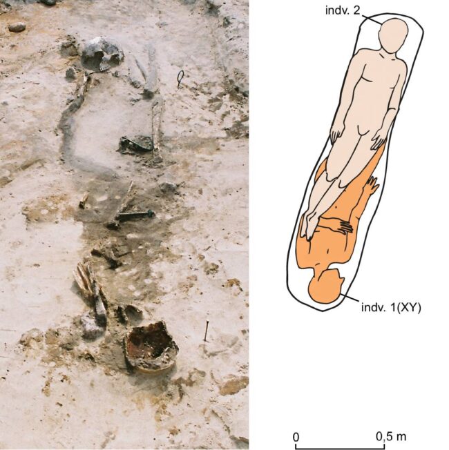 Grób kultury mogiłowej z epoki brązu środkowego z z Karczyna/Witowy z przybliżonym układem pochowanych osób