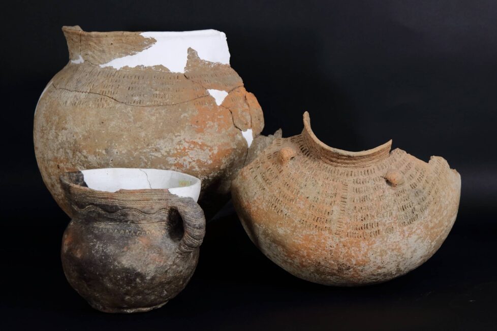 Wybrane materiały ceramiczne kultury złockiej ze zbiorów Muzeum Zamkowego w Sandomierzu (fot. M. Mroczka)