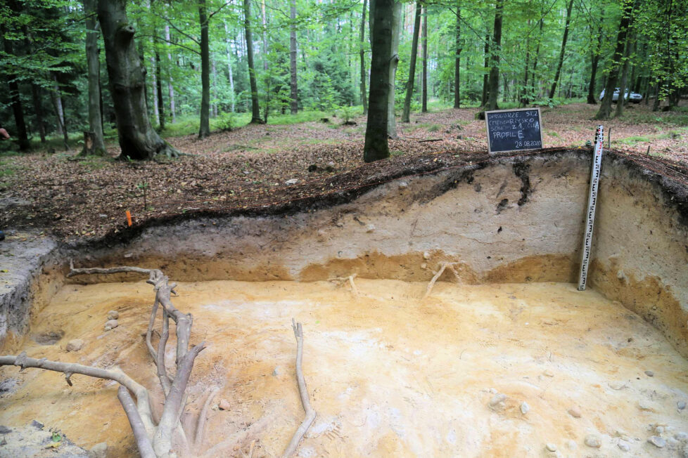 Wczesnosłowiański kurhan na cmentarzysku w Białogórzu w trakcie badań archeologicznych (fot. Radosław Biel)