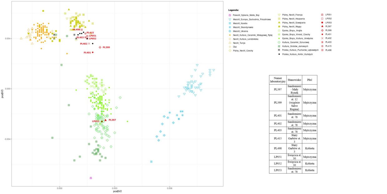 Wyniki badań DNA dla osobników badanych w ramach projektu oraz pokazanie najbliższych mu społeczności pradziejowych (pod względem genetycznym) (oprac. M. Gołubiński)