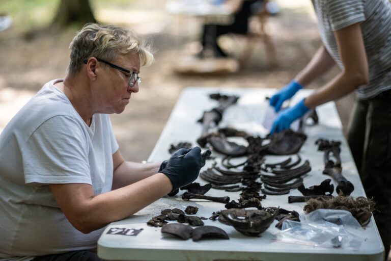Analiza antropologiczna i sądowa ujawnionych szczątków ludzkich odnalezionych w trakcie badań archeologicznych (fot. D. Frymark, zbiory CMJW)