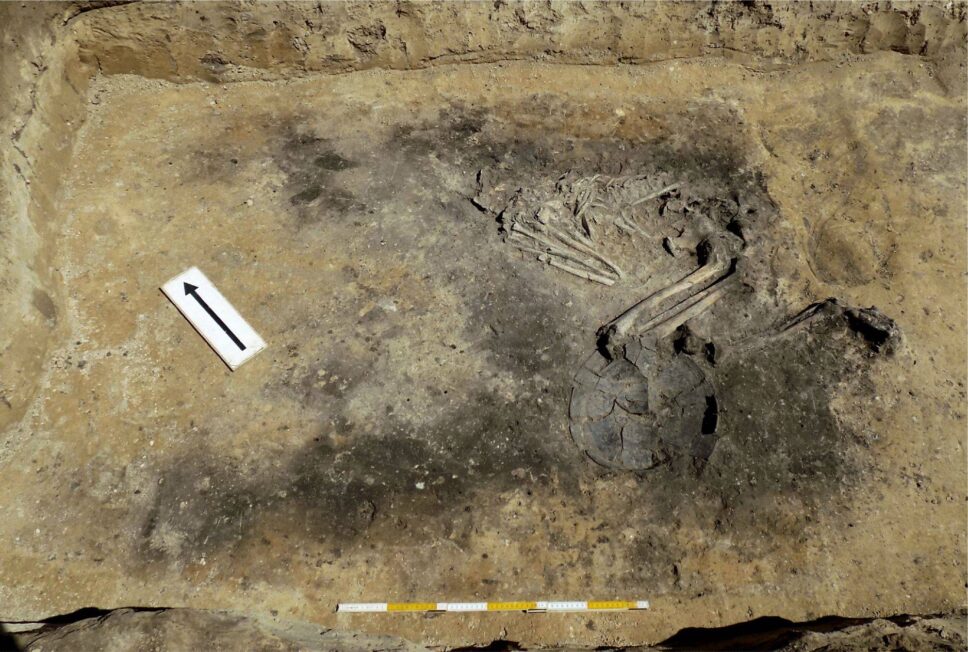 Zdjęcie komory grobowej młodego mężczyzny ułożonego ba boku w pozycji skurczonej