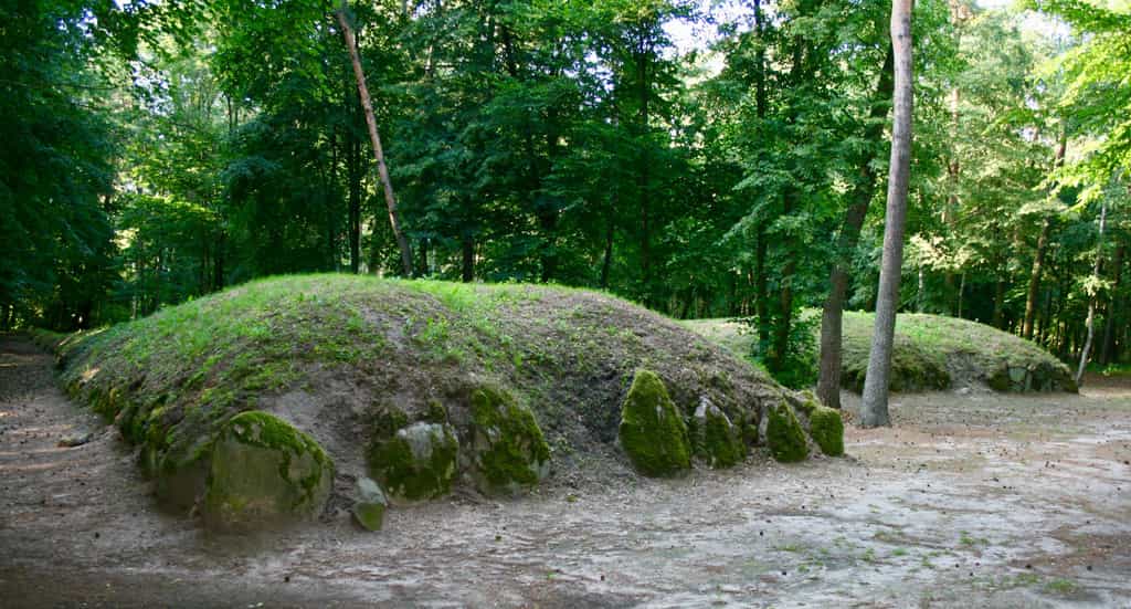polski stonehenge