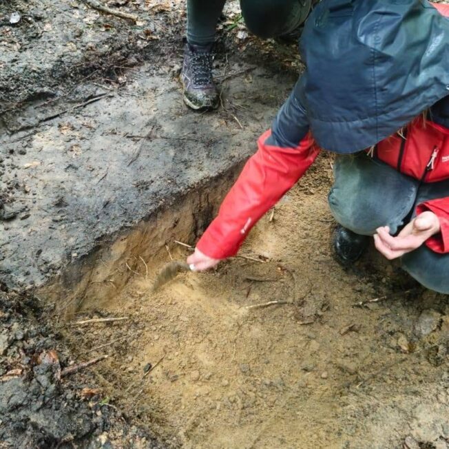 Osoby pracujące przy niewielkim wykopie w lesie podczas odsłaniania miejsca odkrycia brązowego miecza.