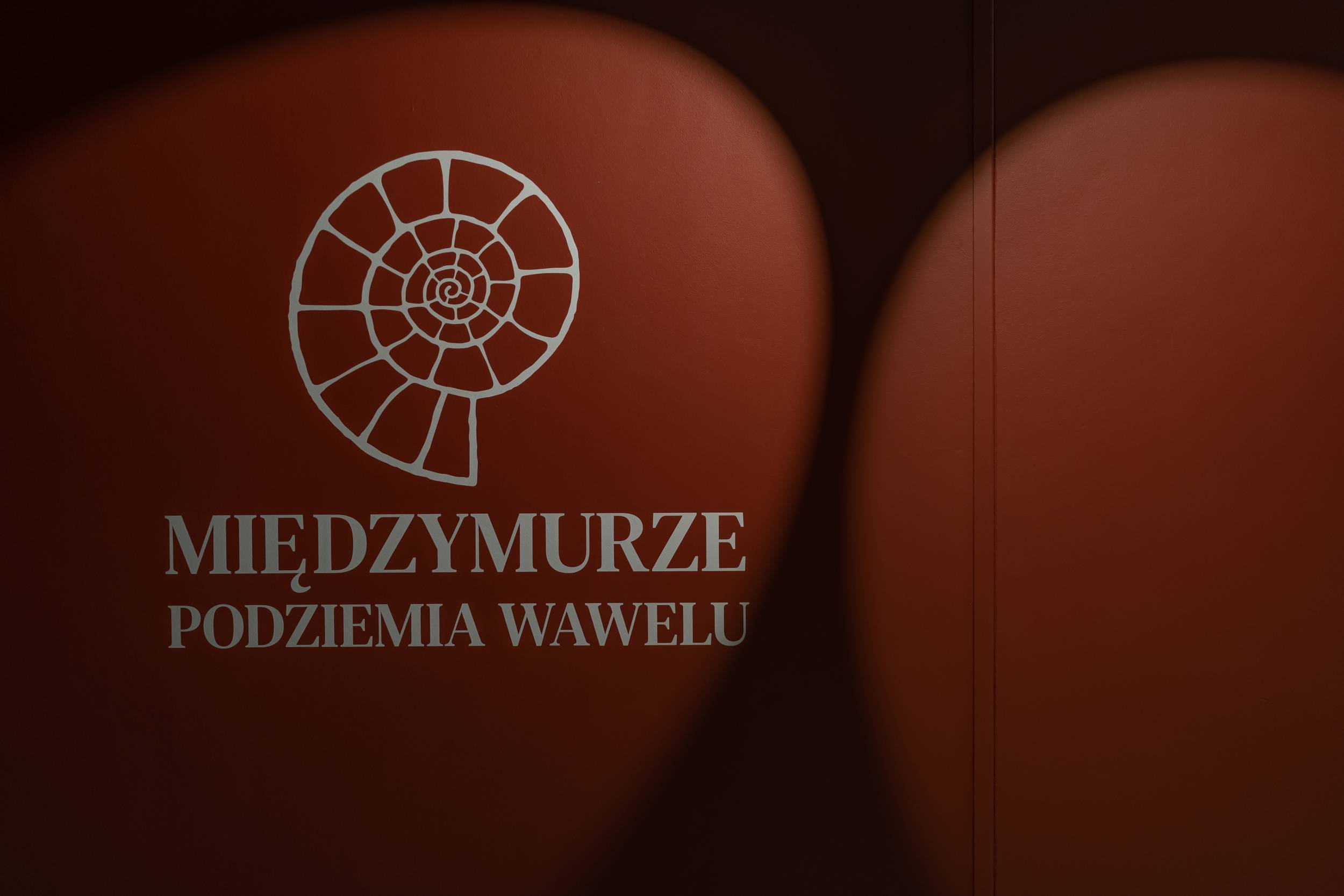 „Międzymurze. Podziemia Wawelu” – nowa wystawa stała na Wawelu!