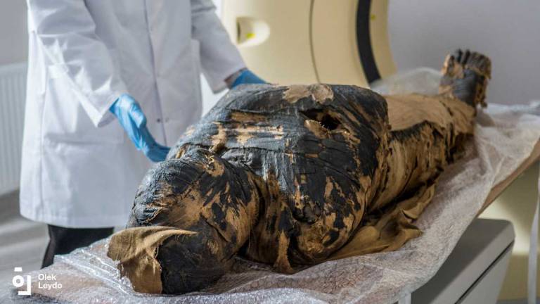 To jedyna na świecie znana nauce mumia kobiety w ciąży (fot. O. Leydo)