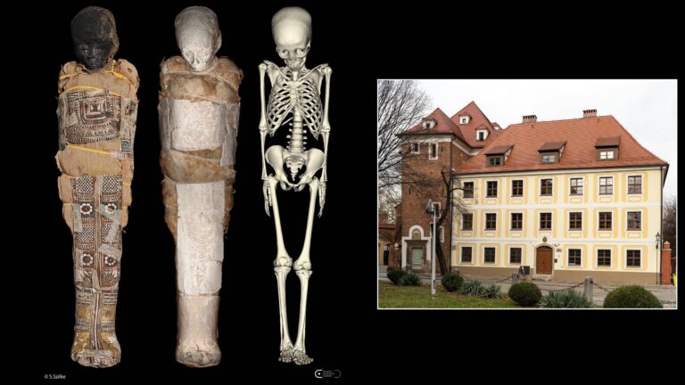 Nieinwazyjna diagnostyka umożliwiła analizę wnętrza ciała i przebiegu zabiegów mumifikacyjnych dziecka mumii z Muzeum Archidiecezjalnego we Wrocławi