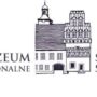 Muzeum Sroda Slaska Logo
