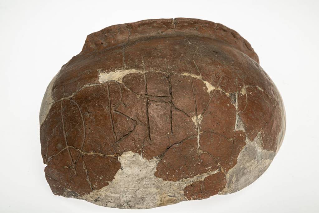 Fragment naczynia z Dziedzic z runami (fot. W. Szołtys)