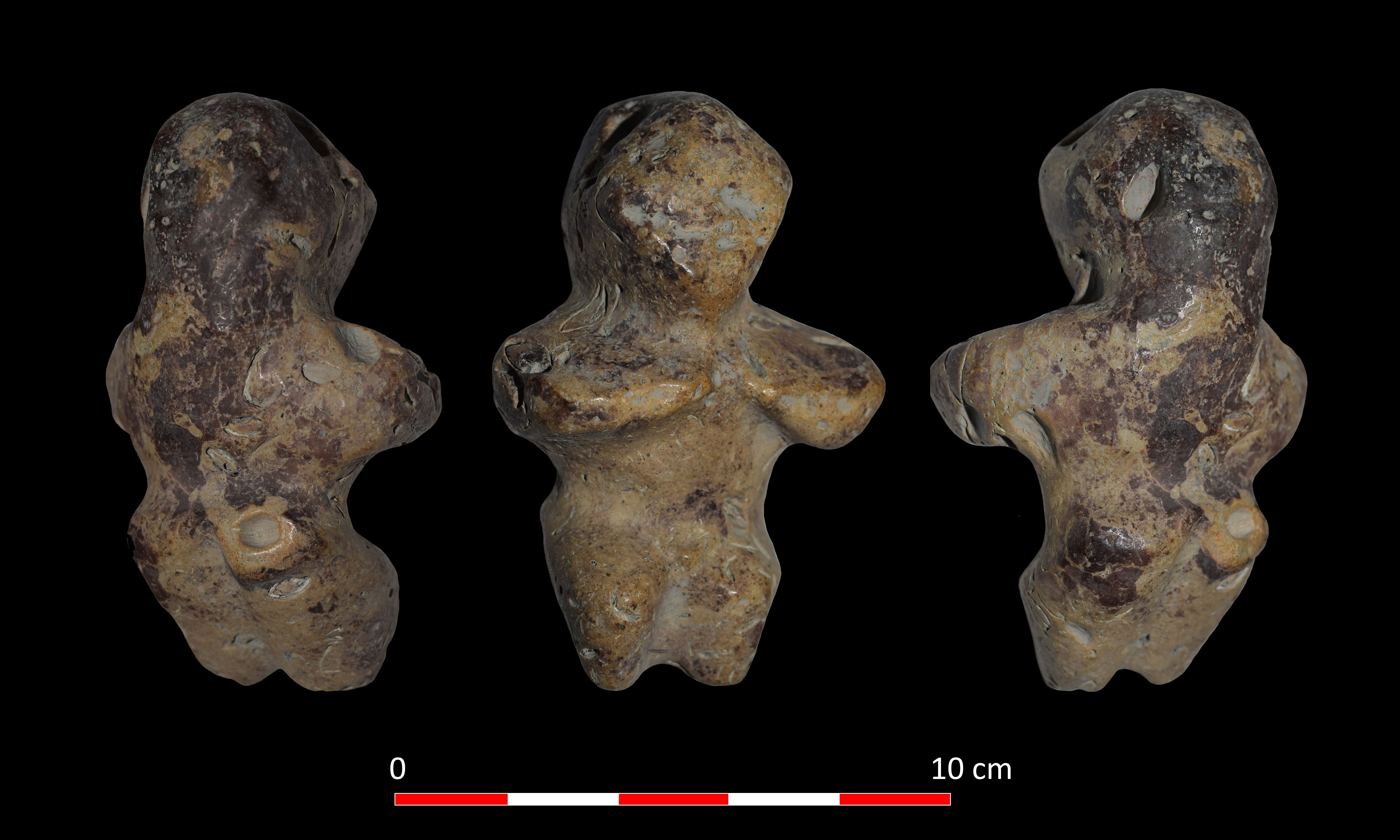 Wenus z Kołobrzegu! Odkryto kobiecą figurkę sprzed ponad 6000 lat