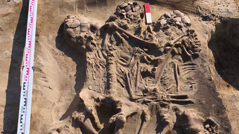 Według wstępnych szacunków archeologów szczątki mogą pochodzić z mezolitu, czyli sprzed 8000-7000 lat p.n.e.