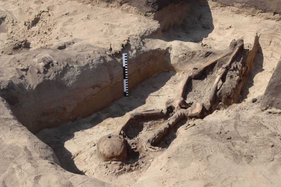 Szkielet człowieka ułożony w nietypowej pozycji w jamie grobowej podczas badań archeologicznych koło Żórawiny