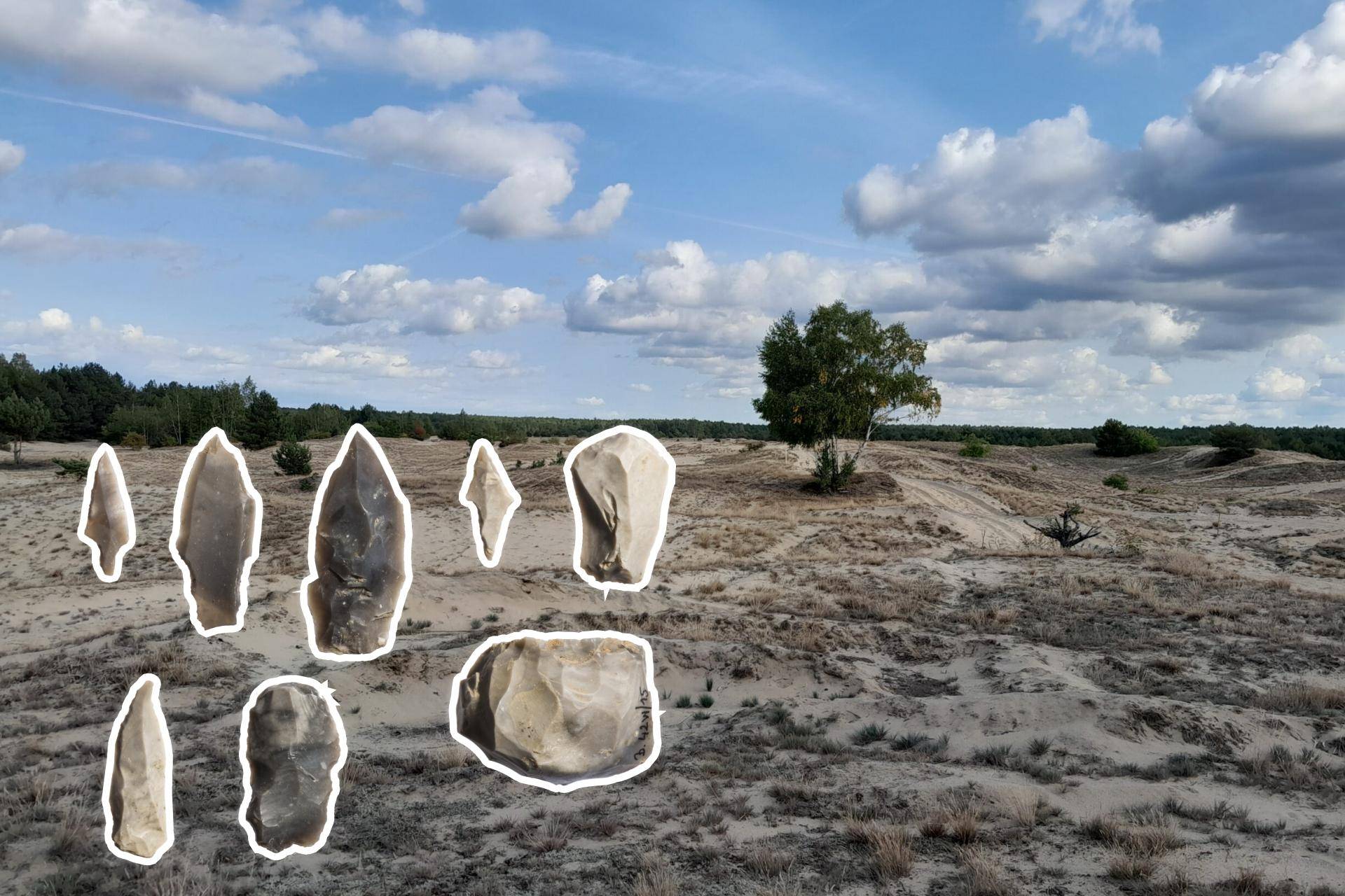 Widok ogólny na fragment stanowiska archeologicznego, październik 2023 r. (fot. B. Bielińska-Majewska)