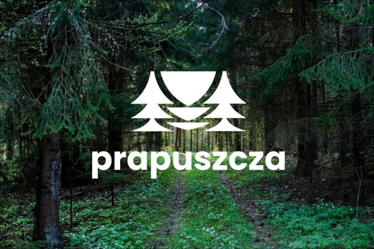 Puszcza Borecka położona jest w północno-wschodniej Polsce, na północno-wschodnim skraju Mazur (fot. fundacja Terra Desolata)