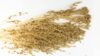 Pęk wysuszonych, złocistych wiech prosa zwyczajnego (Panicum miliaceum) z drobnymi ziarnami, rozłożony na białym tle.