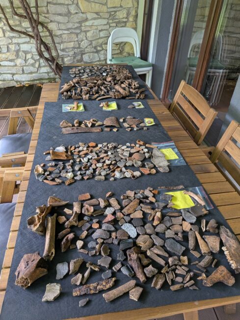 Fragmenty ceramiki, kości zwierzęce i przedmioty metalowe rozłożone na stole po wykopaliskach w Przewodziszowicach.