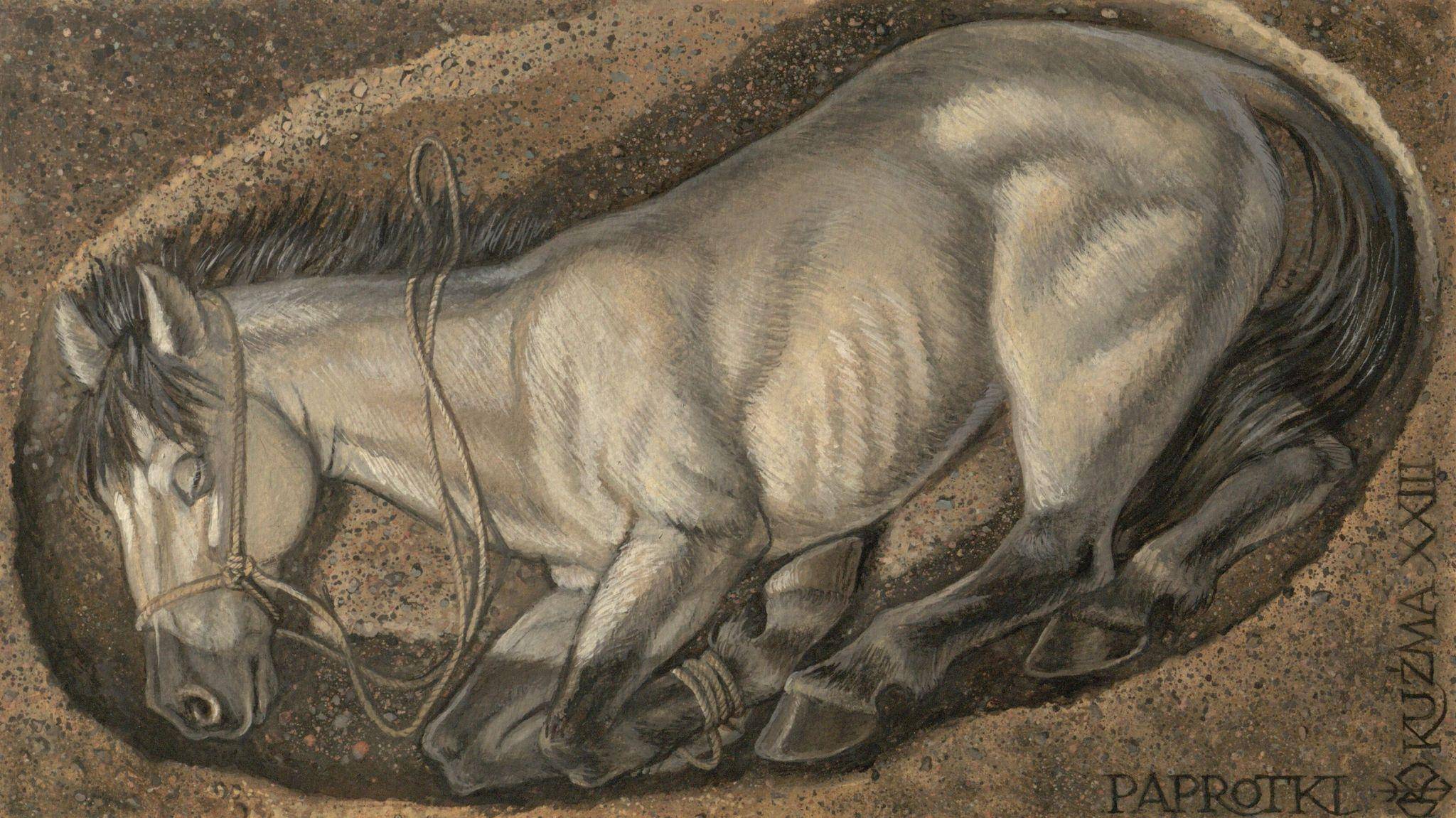 Rekonstrukcja rytualnej ofiar z konia, inspirowana szczątkami konia odkrytego w Paprotkach Kolońskich