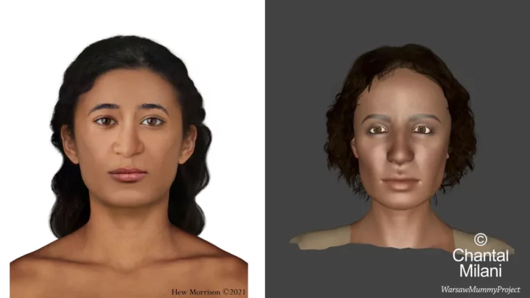 Nad rekonstrukcjami twarzy Tajemniczej Damy pracowało niezależnie, przy użyciu dwóch różnych technik, dwóch specjalistów antropologii sądowej oraz kryminalistyki: Hew Morrison (po lewej) oraz Chantal Milani (po prawej)