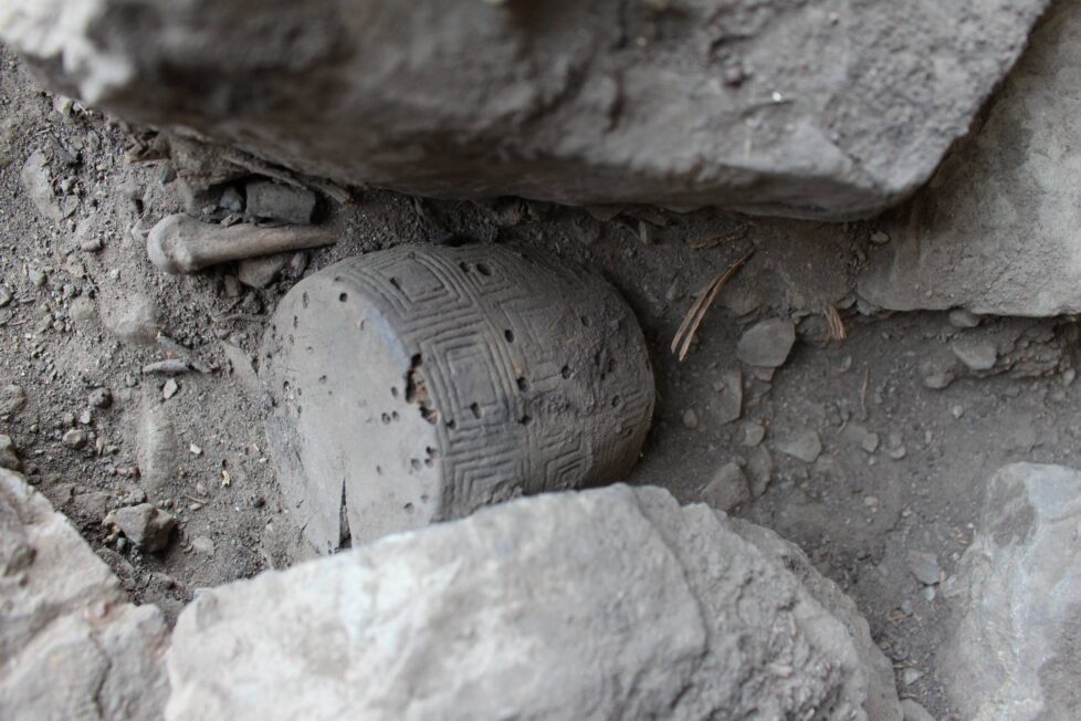 Pochówek, z którego pobrano próbki do specjalistycznych analiz (fot. D. Sieczkowska-Jacyna)