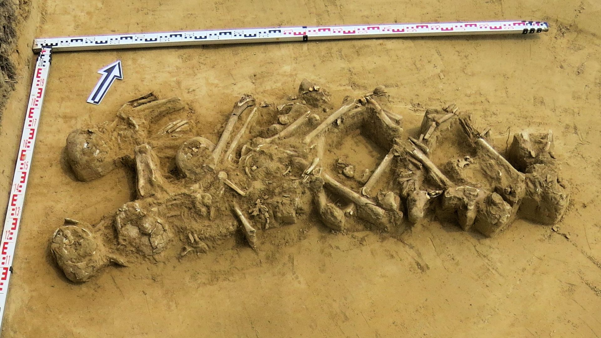 Slupcza Badania Archeologiczne