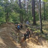 Archeolodzy pracują w wykopie przecinającym grobowiec neolityczny na zalesionym stanowisku w Sobocie.