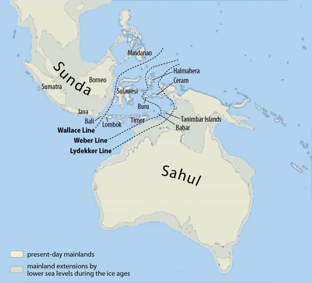 Wielka Australia Sunda Sahul