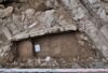 Zamek Bolkow Badani Archeologiczne