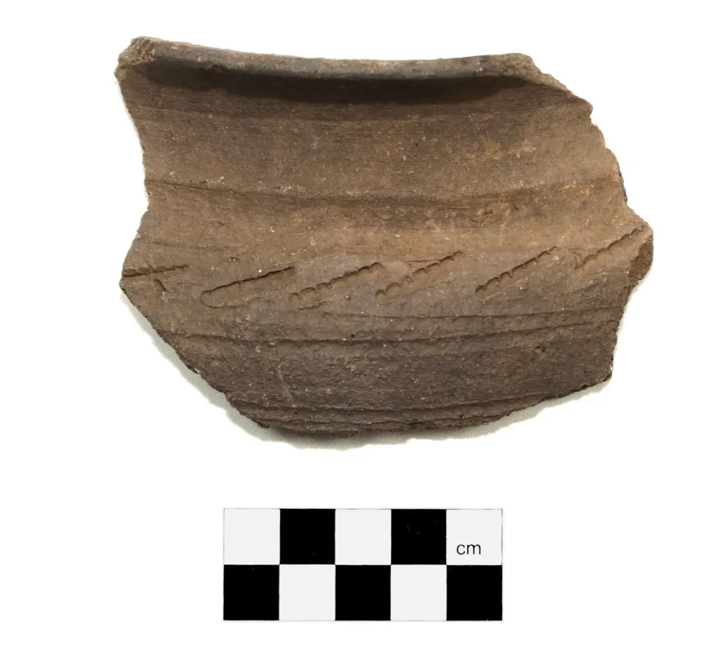 Odkryta ceramika to jednorodny zespół zabytków datowanych na XI wiek lub nieco starszych